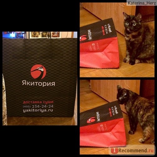 пакет, котик заинтересован ;)