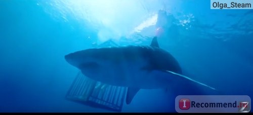 Синяя бездна / Johannes Roberts' 47 Meters Down / Страх глубины / In the Deep фото