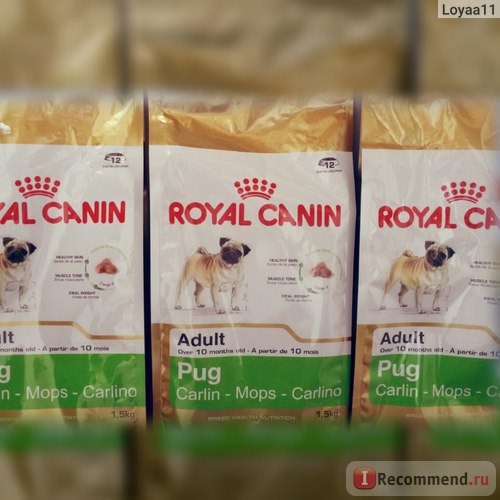 Корм для собак Royal Canin Pug для мопсов фото