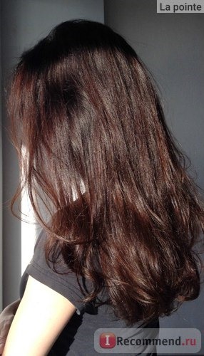 Шампунь Cocochoco Regular для окрашенных волос 250(мл) фото