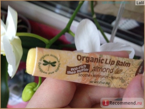 Бальзам для губ Organic essence lip balm almond фото