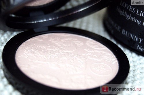 Хайлайтер Rouge Bunny Rouge Highlighting Powder Loves Lights фото