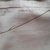 Постельное белье(КПБ) «Елизаветинское» из сатина, арт: 2F-9101 фото