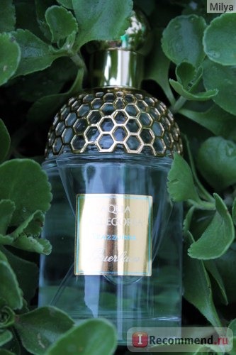 Guerlain Aqua Allegoria Teazzurra фото