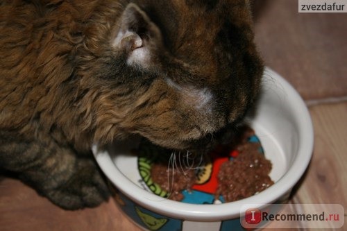 Влажный корм для кошек MOONLIGHT DINNER Мунлайт 