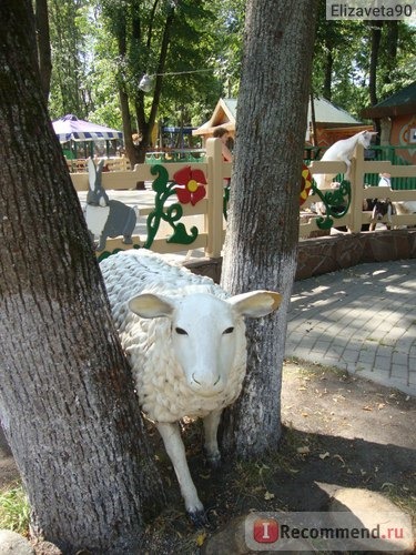 Зоопарк Лимпопо, Нижний Новгород фото