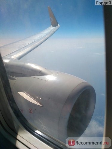 Pegasus Airlines фото