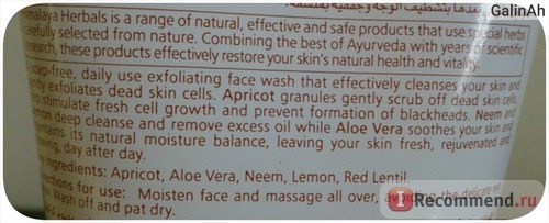 Скраб для лица Himalaya herbals Gentle exfoliating Daily face wash Apricot Aloe vera фото