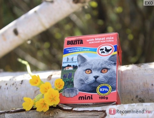 Корм для кошек Бозита (Bozita) Mini Кусочки в соусе фото