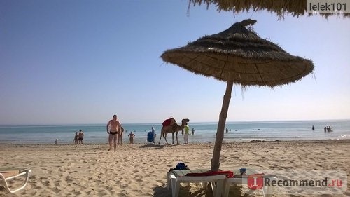 Djerba Plaza Hotel & Spa 4*, Тунис, Джерба фото