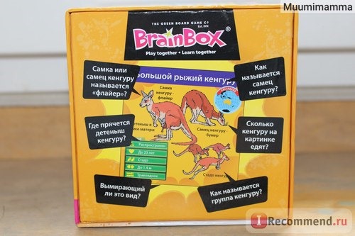 Brainbox 