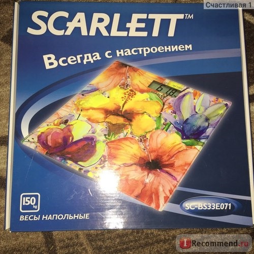 Электронные весы SCARLETT SC-BS33E071 фото