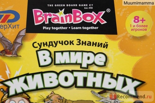 Brainbox 