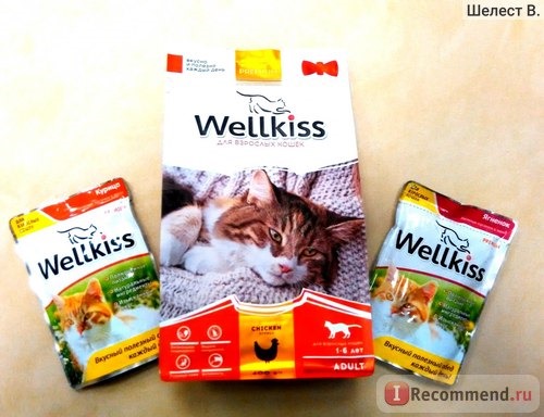 Корм для кошек Wellkiss сухой корм для взрослых кошек с курицей фото