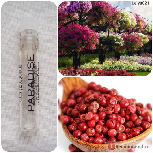 Oriflame Paradise фото