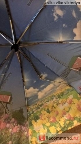 Зонт Ame Yoke женский Голландия Тюльпаны фото