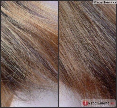 Краска для волос Schwarzkopf Nectra Color без аммиака фото