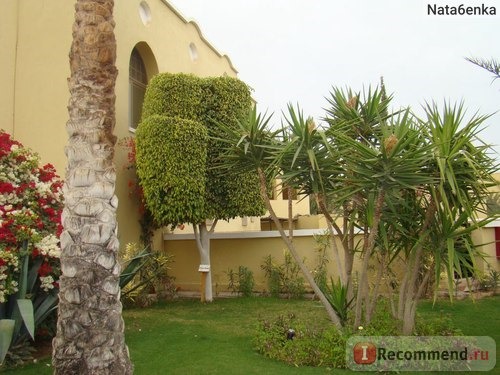 Iberotel Macadi /Oasis & Family Resort 4*, Египет, Макади Бэй фото