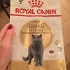Корм для кошек Royal Canin British shorthair фото