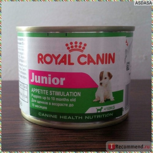  Royal Canin Junior консерва для щенков мелких пород фото
