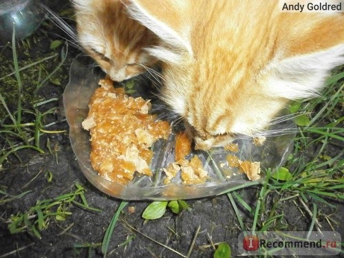 Кошки едят корм Феликс Felix