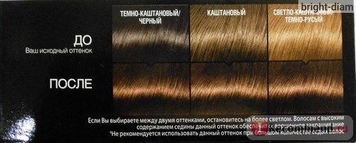Краска для волос L'Oreal Prodigy фото