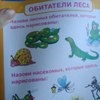 Первый учебник малыша. От 6 месяцев до 3 лет. Олеся Жукова фото