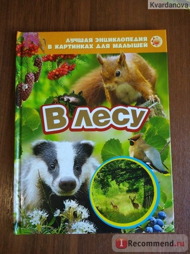 В лесу. Лучшая энциклопедия в картинках для малышей. Издательство Росмэн фото