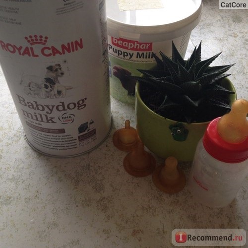 Royal Canin Babydog milk фото