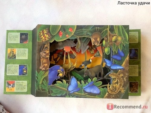 Rainforest 3D Wild ( книга для детей 