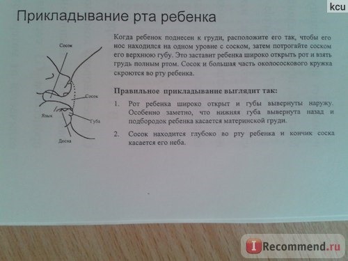 Правильное прикладывание рта ребенка