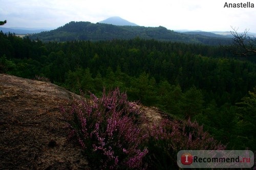 Национальный парк Чешская Швейцария. 