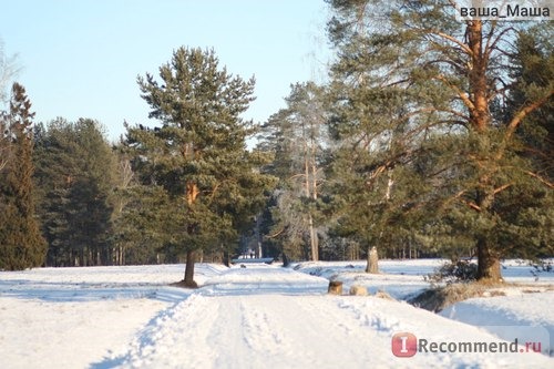 Россия, Павловский парк фото