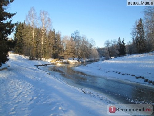 Россия, Павловский парк фото