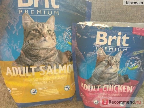 Brit Premium Cat