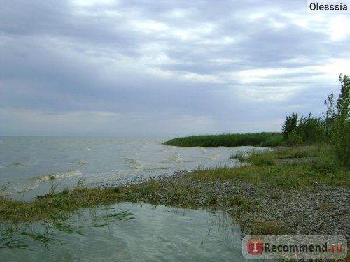 Азовское море, Ростовская область 