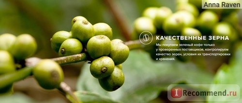 Сайт интернет-магазин кофе True Coffee Roasters - coffeetrue.ru фото