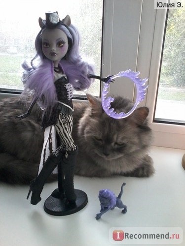 MONSTER HIGH Кукла Клодин Вульф Фрик Дю Шик / Clawdeen Wolf Freak du Chic фото