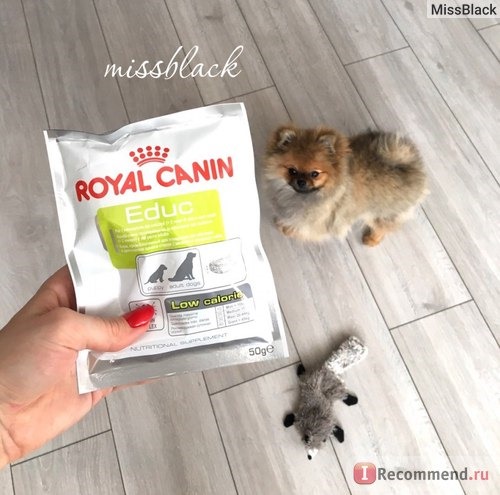 Royal Canin Educ фото