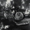 Франкенвини / Frankenweenie фото