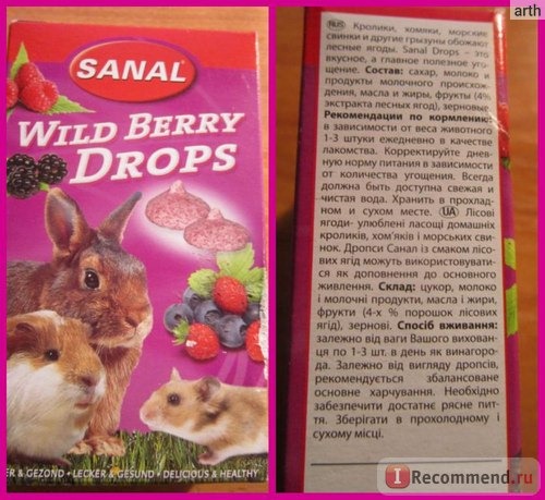 Витамины SANAL Wild Berry Drops фото