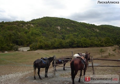 Россия, с. Дивноморское, Черное море фото