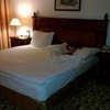 Hilton 5*, Турция, Кайзери фото