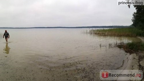 Белое озеро, Ровенская область, Украина фото