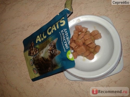 All Cats food фото