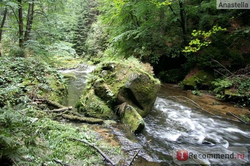 Национальный парк Чешская Швейцария. 