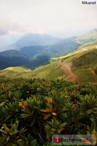 Роза Хутор, Олимпийская деревня, Сочи фото