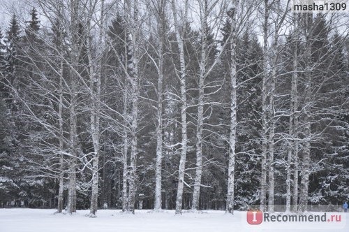 Россия, Павловский парк фото