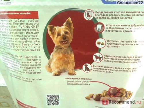 Корм для собак Purina ONE® Моя Собака уже взрослая. Для маленьких собак от 1-10 кг. фото