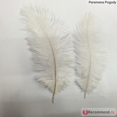 Перо страуса Aliexpress Ostrich Feather Wedding Decoration Party Plumage White фото